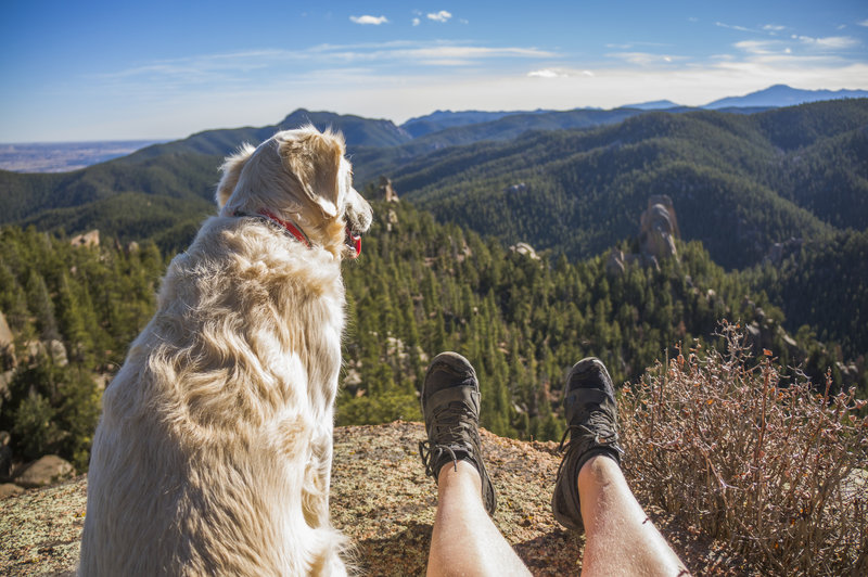 Resting after the climb up to ice cave cliffs.