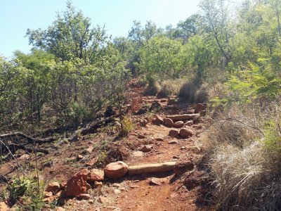 A view from the Ruins Trail ascent.