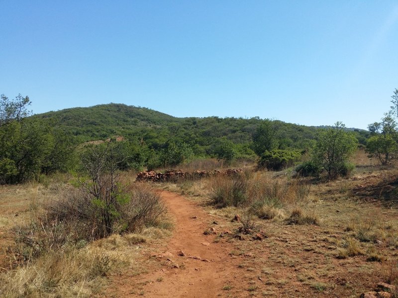 A view from the Kiepersol Trail.