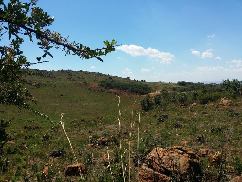 A view from the Serepodi Trail.