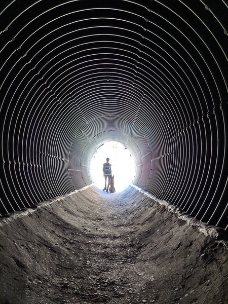 Don't forget to take a surreal picture in the culvert