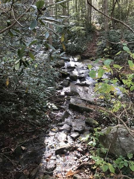 Parts of the trail are combination of stream bed. Trail has a chance of getting some feet wet. Because of under brush, path of least resistance is the trail.