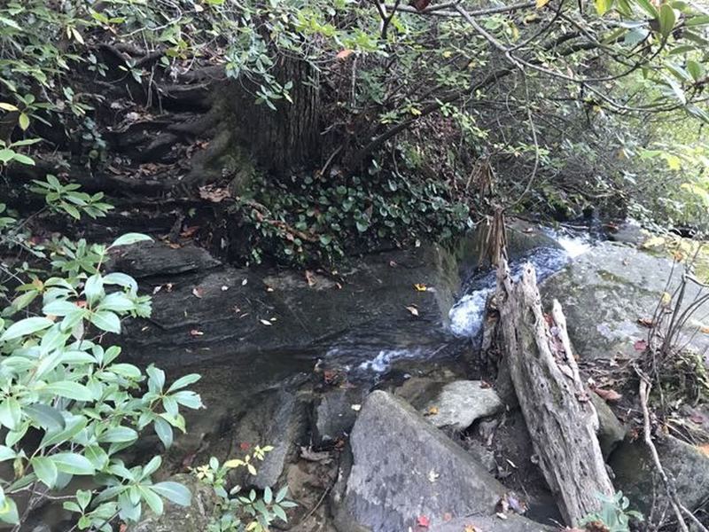 Some water crossings have a bridge, some do not and can view the tight rail climbing back up the other side.