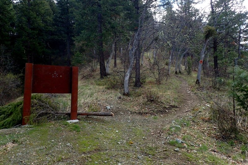 The trailhead at the north end of the #918 Trail