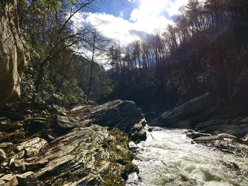 Rapids on the Linville River