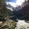 Rapids on the Linville River