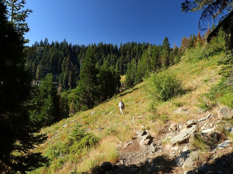 Starting the switchbacks on the #900 trail