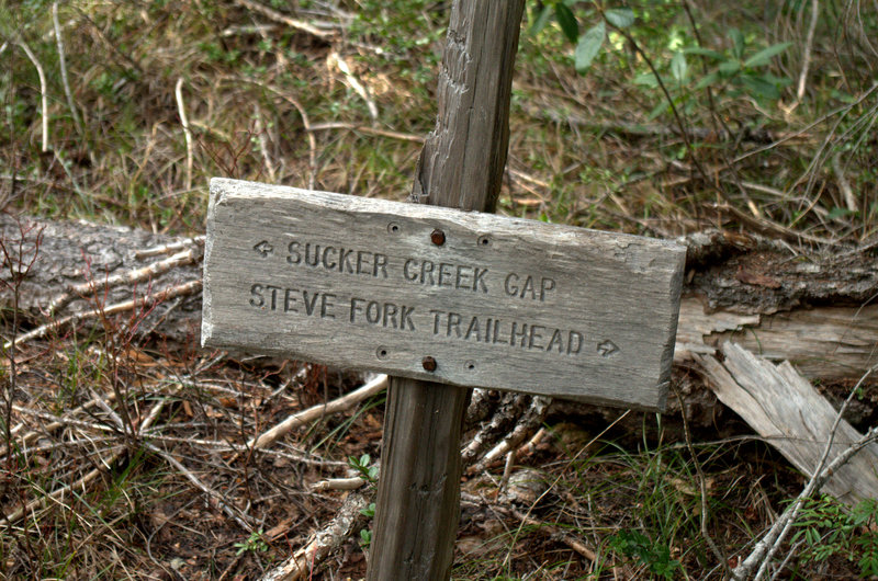 At the junction of the Steve Fork and Sucker Gap Trails