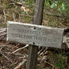 At the junction of the Steve Fork and Sucker Gap Trails