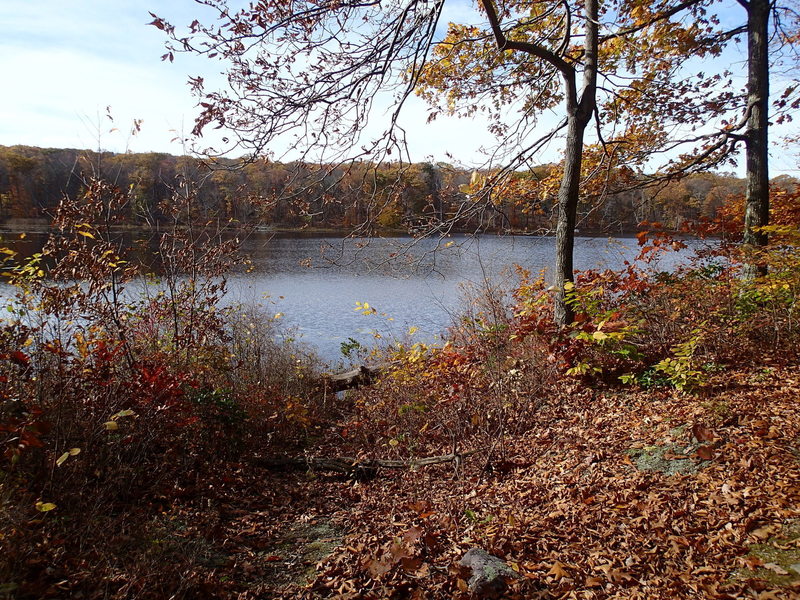 View of Durham Pond