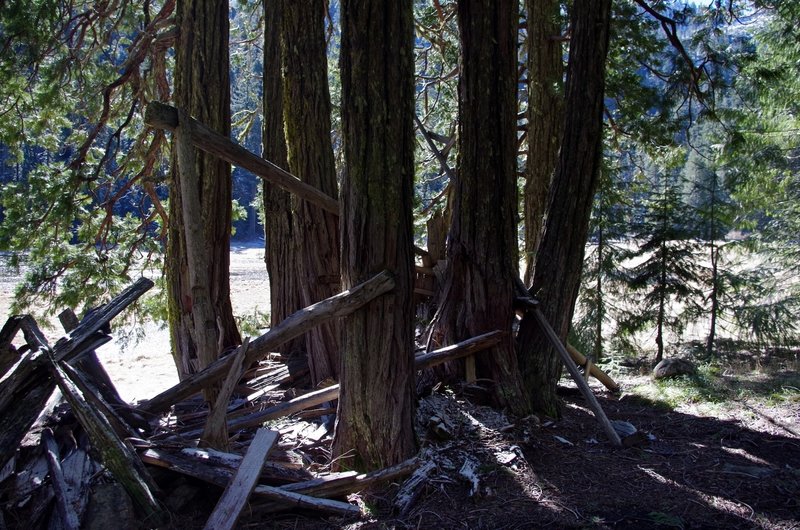 Remains of John McCloy's cedar shelter at Frog Pond