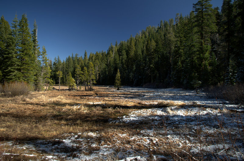 The south end of the meadow at Frog Pond