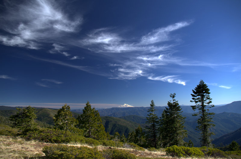 Mount Shasta viewed from where the #958 joins the PCT