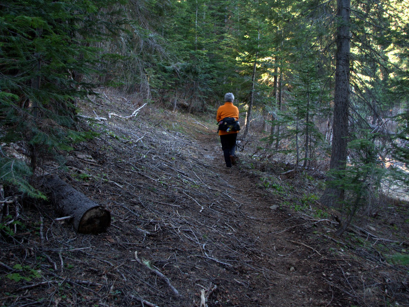 Along the #903 trail.