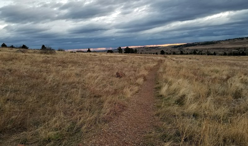 Looking east, from the junction of the Mesa Trail with the South Boulder Creek West trail.