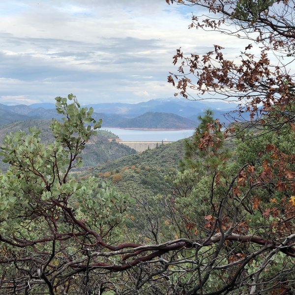 View of Shasta Dam and Shasta Lake while spiraling up Chamise Hill.