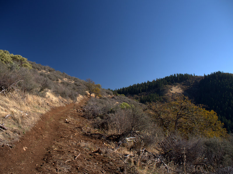 Open slopes above the lower trailhead.