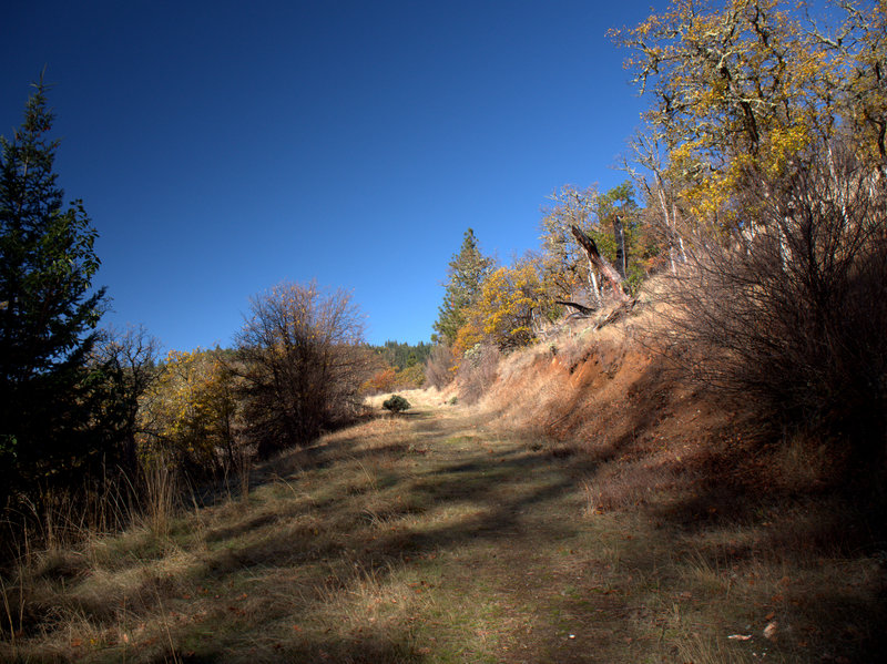 The trail is an old road just above the lower trailhead