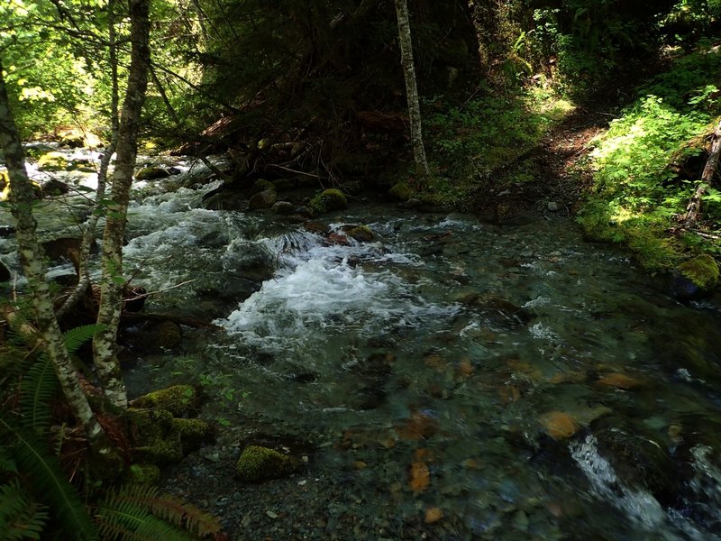 Lower Bear Gulch Creek at high water