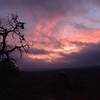 Sunrise on the Summit Trail