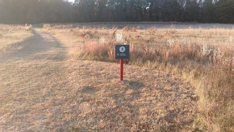 Beginning of Meadow Loop Trail