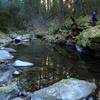 One of the pools along the river at low water