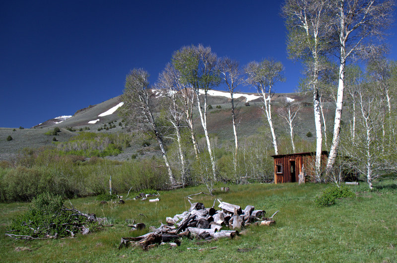 The historic Barnhardi Cabin (line shack)