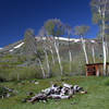 The historic Barnhardi Cabin (line shack)