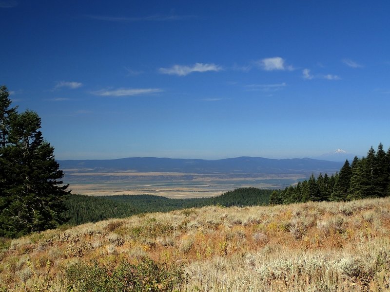 Mount Shasta from the end of the Pine Creek Trail