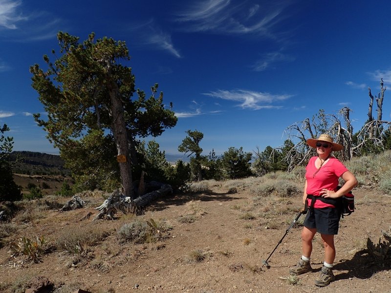 At the junction with the summit trail