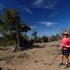 At the junction with the summit trail