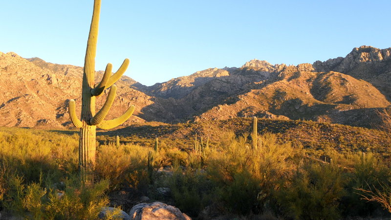 View from the Nature Trail