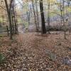 Late fall colors on the trail