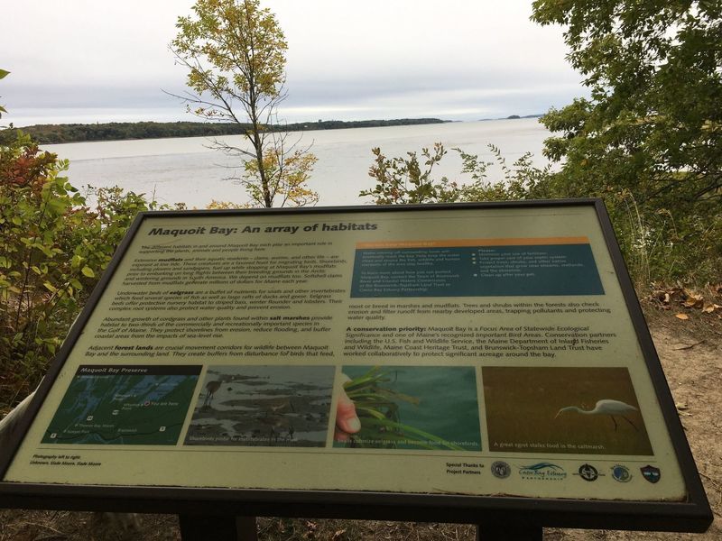 Informational sign at trail end overlooking Maquoit Bay