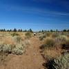 Start of the Whitney Butte Trail