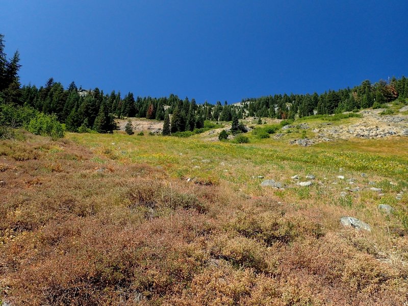 Crossing the meadow north of Cold Spring