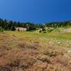 Crossing the meadow north of Cold Spring