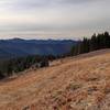 The meadow east of Lake Mountain; Preston Peak on the horizon