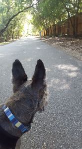 Halfway and looking back toward Hardberger Park
