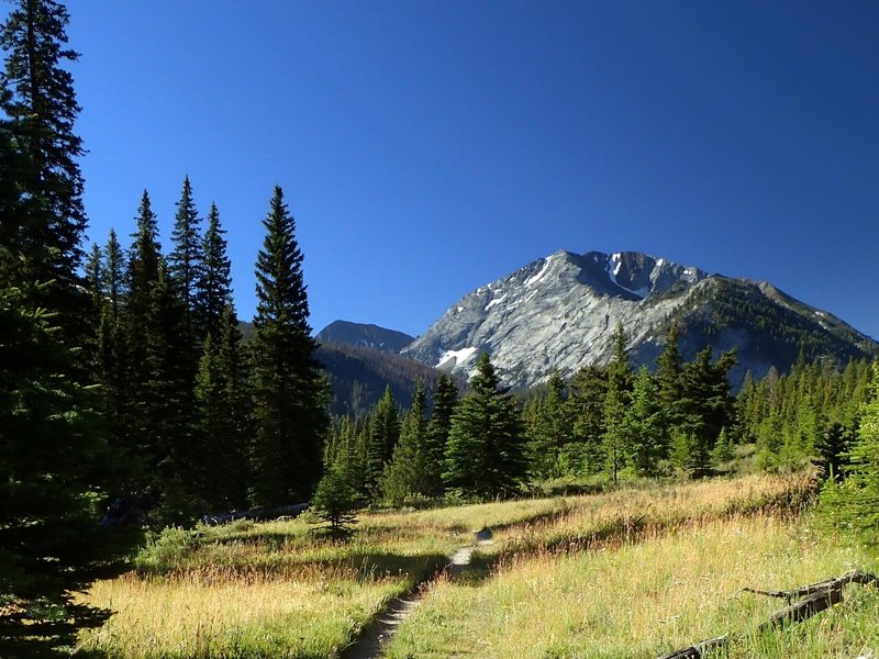 Sacajawea Peak from the #1807 trail