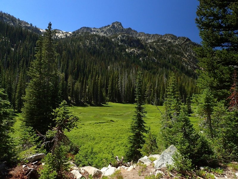 A meadow along the #1807