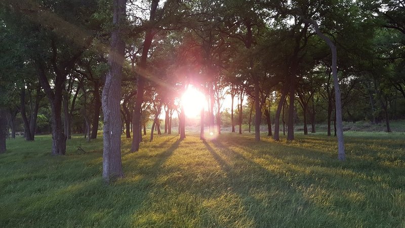 Exploring trails north of San Antonio International airport