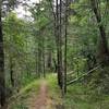 Heading into Deming Gulch