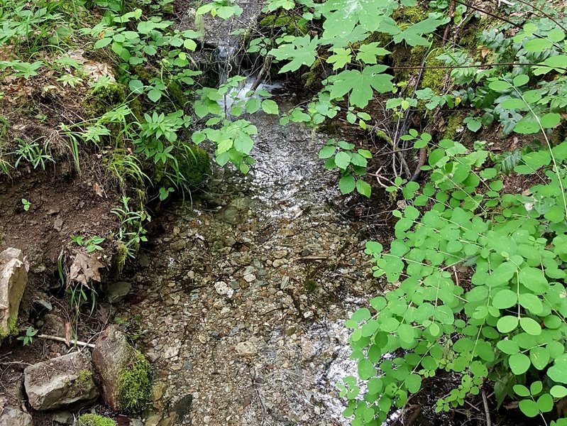 The small seasonal stream in Deming Gulch