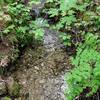 The small seasonal stream in Deming Gulch