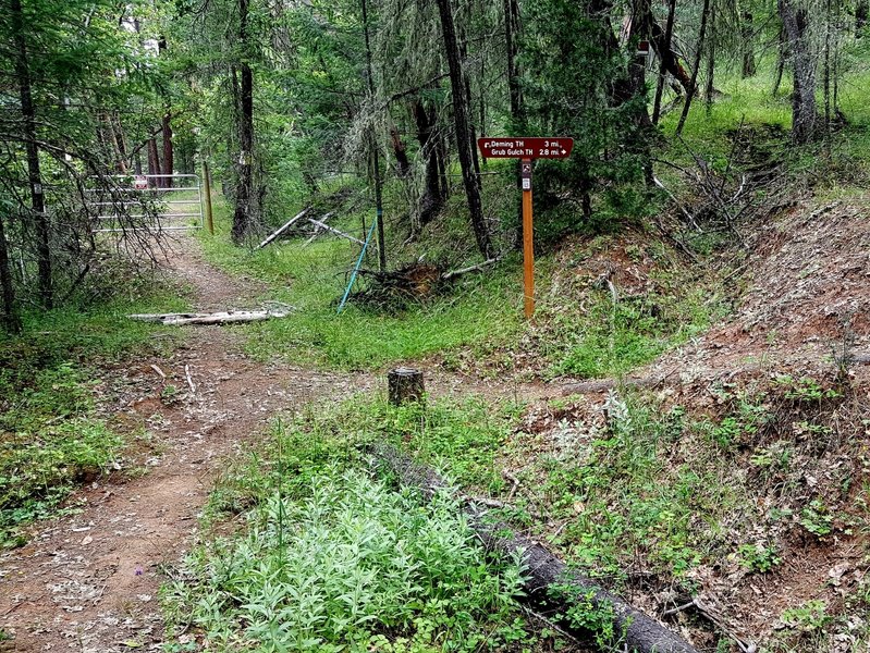 Junction of the Sterling Mine Ditch Trail and the Grub Gulch access trail