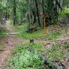 Junction of the Sterling Mine Ditch Trail and the Grub Gulch access trail