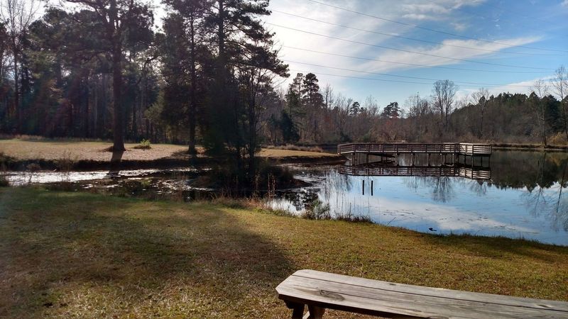 Pond on Flat Tail Trail.