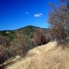 High up on the Grub Gulch access trail