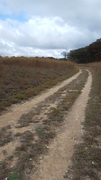 Connects Cibolo Trail to Cibolo Nature Center